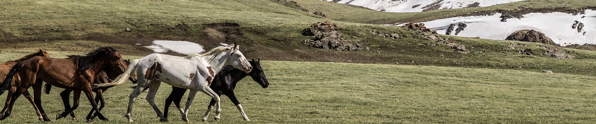 Trips Kyrgyzstan