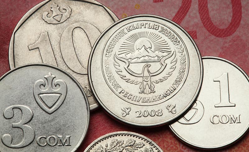 The Kyrgyz Currency